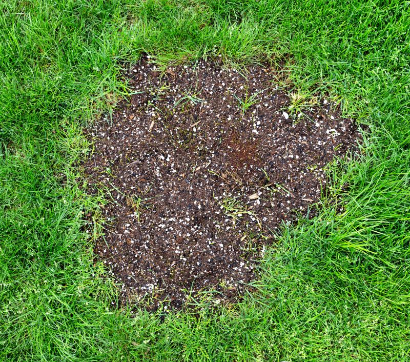 Lawn Erosion Repair