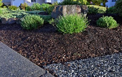 Get Beautiful Landscaping!