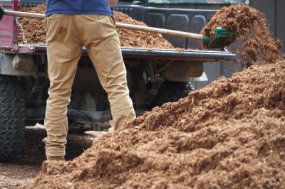 Get Bulk Purchasing of Mulch!